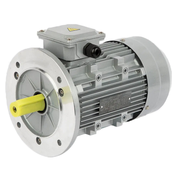 Motor 1.1kW 230/400V 3000rpm BN80 19mm B5