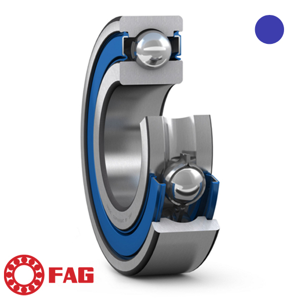 FAG Lager RVS 6205C-2HRS 25x52x15