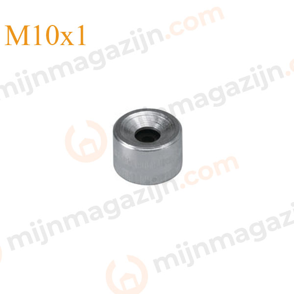 Vetspuit mondstuk hol M10x1