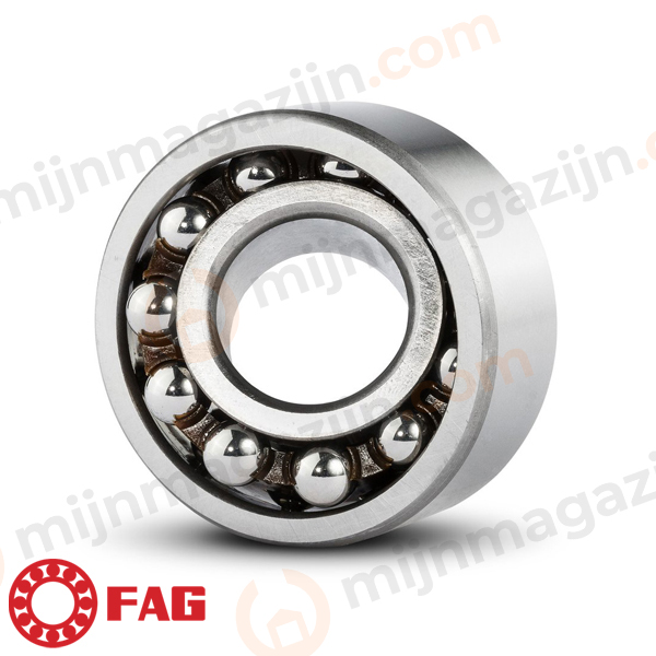 FAG Lager 1301 ETN9 12x37x12