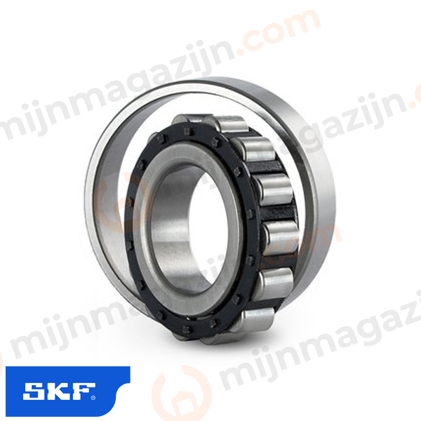 SKF Cilinderlager N 204 ECP 20x47x14