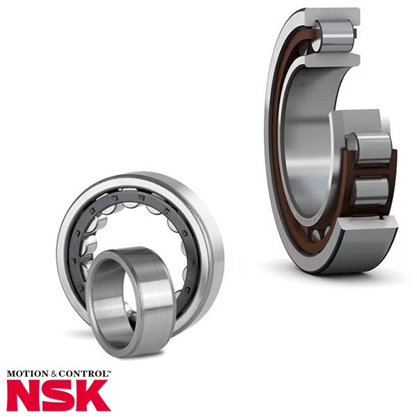 NSK Cilinderlager NU 1006 30x55x13