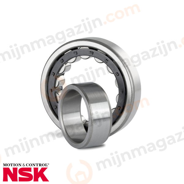 NSK Cilinderlager NU 1006 30x55x13