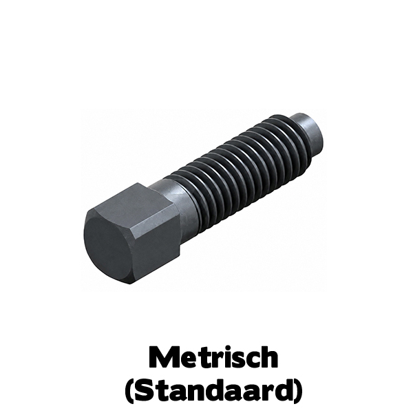 D479 Vierkantbout met korte tap M10x30 Blank Kl.8