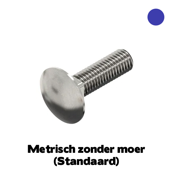 D603 Slotbout M6x20 VD RVS A4