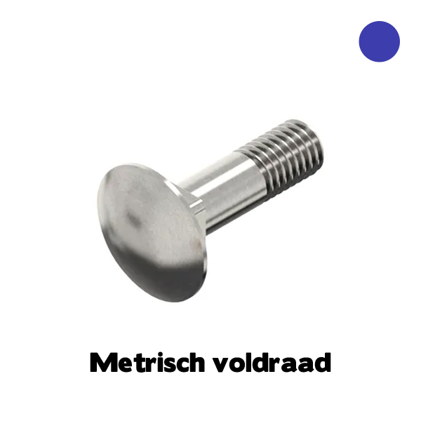 D603 Slotbout M8x50 RVS A4