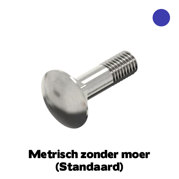 D603 Slotbout M6x55 RVS A4