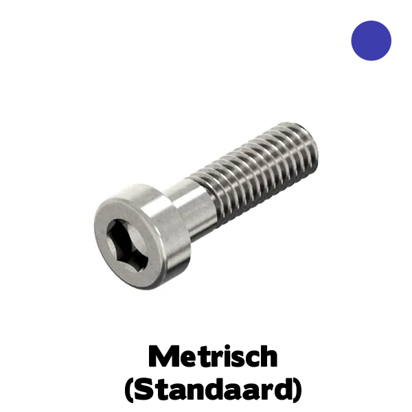 D6912 LCK-SCHR BZK M20X80 RVS A4