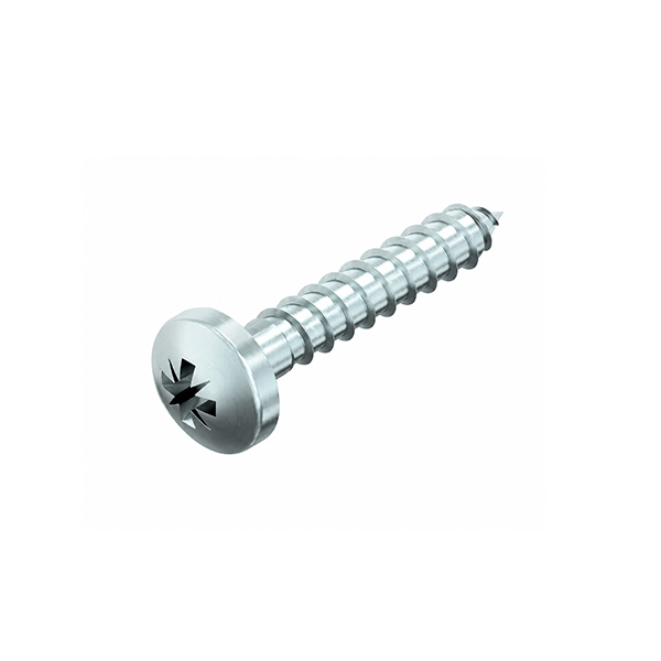 D7996H Bolkop houtschroef 4x20mm EVZ PZ2