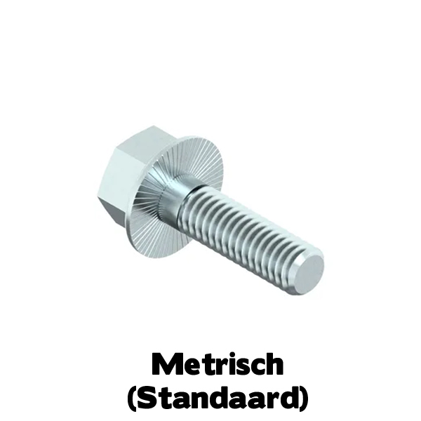 D6921 Zeskantflensbout Glad M6x10 EVZ Kl.8.8