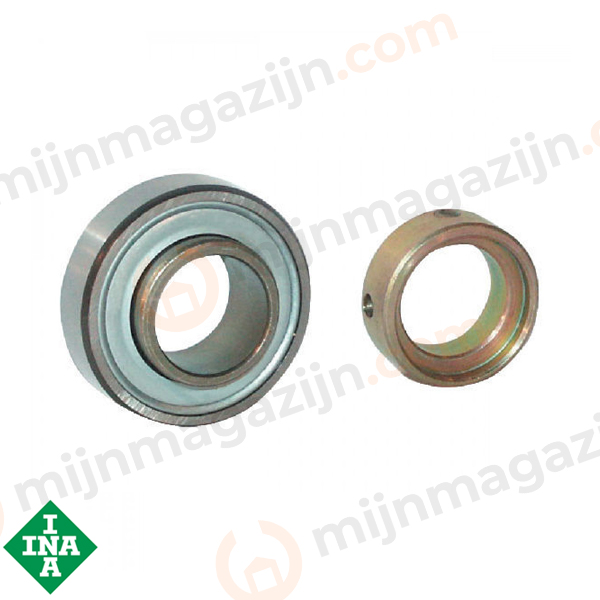 INA Lager RAE 17-NPP-FA106 17x40x12/28.5