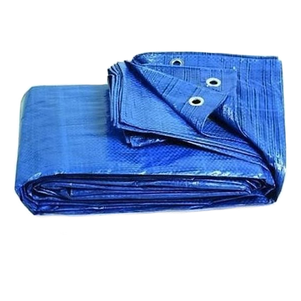 Dekzeil 3×4 meter blauw met ogen