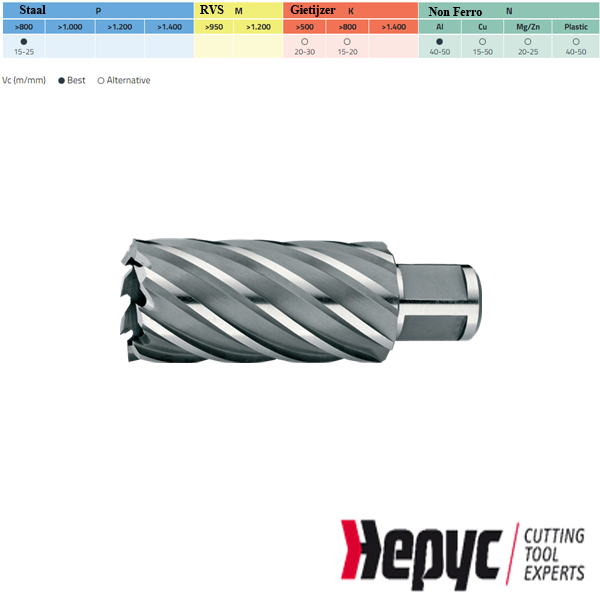 Hepyc Kernboor HSS 32x50mm Weldon