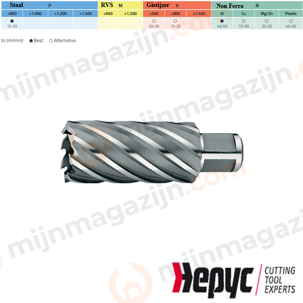 Hepyc Kernboor HSS 42x50mm Weldon