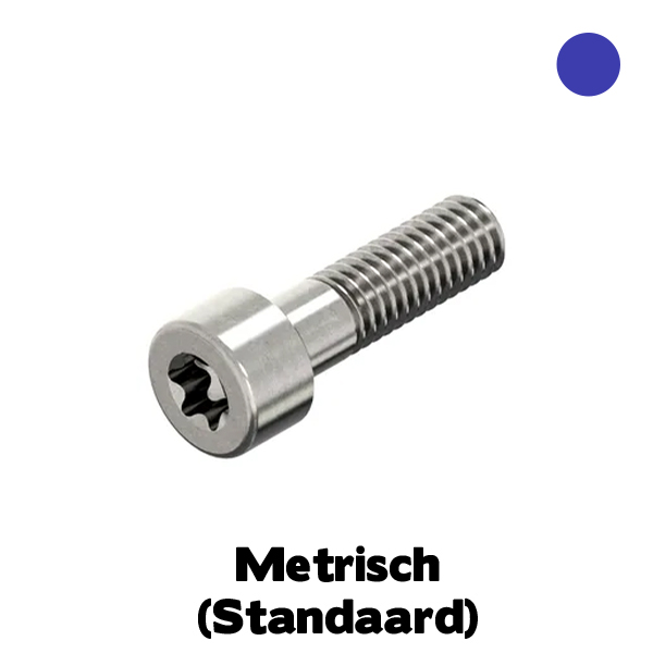 I14579 Cilinderkop Torxbout TX30 M6x25 RVS A4