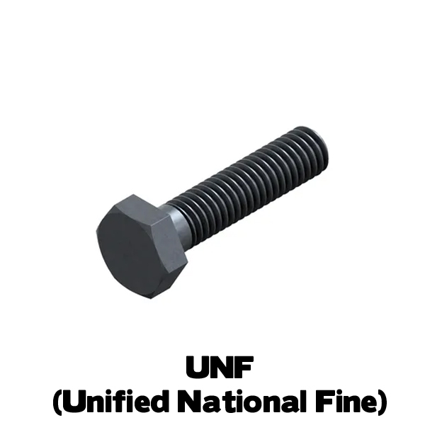 Tapbout UNF 3/4×1 1/2 Kl.8 Blank