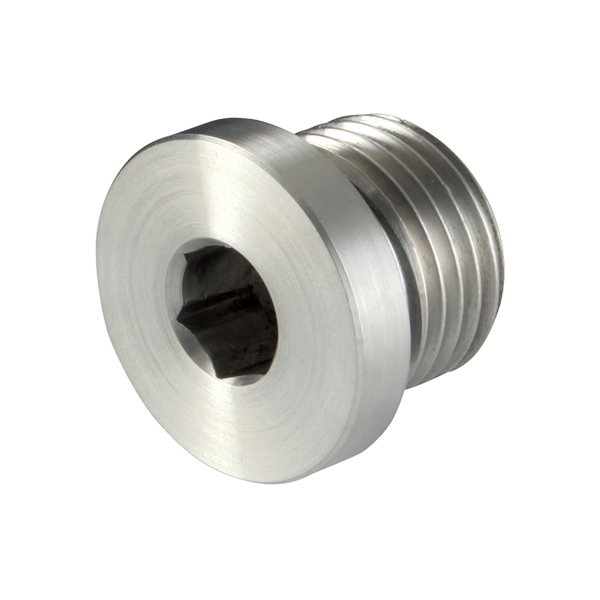 Inbusplug 1/8 RVS 316