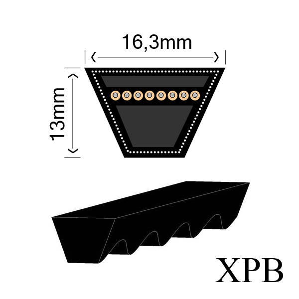 16.3x13MM XPB